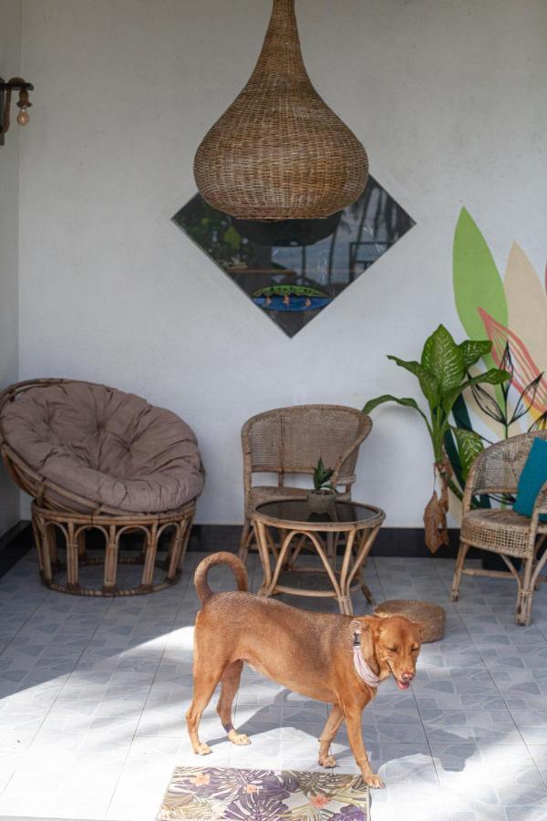 Marshmallow Homestay Ahangama Exterior foto
